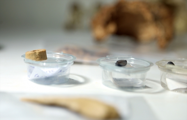 Direkli Mağarası'nda Üst Paleolitik döneme ait taştan dilgi bulundu